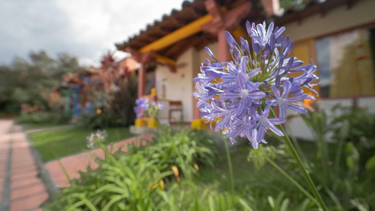 Готель Termales El Otono La Enea Екстер'єр фото Agapanthus africanus